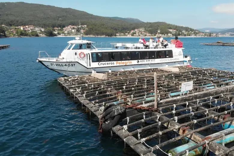 Catamarán para grupos junto a una batea de mejillón